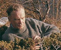 Geir Tveitt