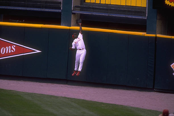 Dmitri Young
