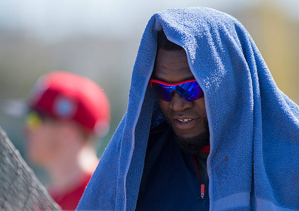 David Ortiz