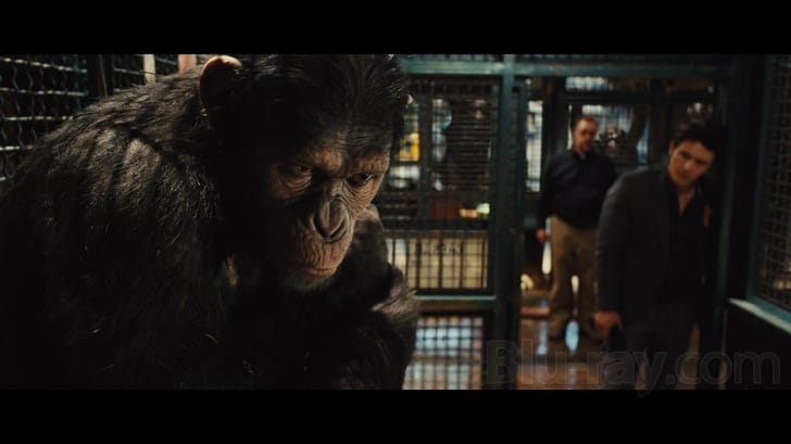 Rise of the Planet of the Apes 