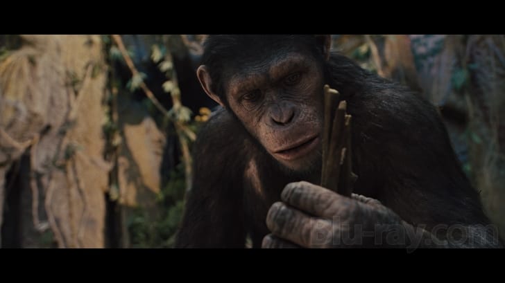 Rise of the Planet of the Apes 