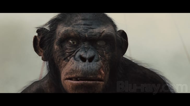 Rise of the Planet of the Apes 