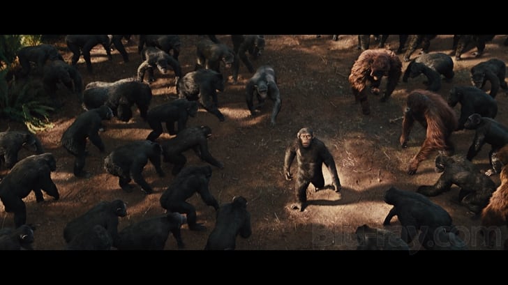 Rise of the Planet of the Apes 