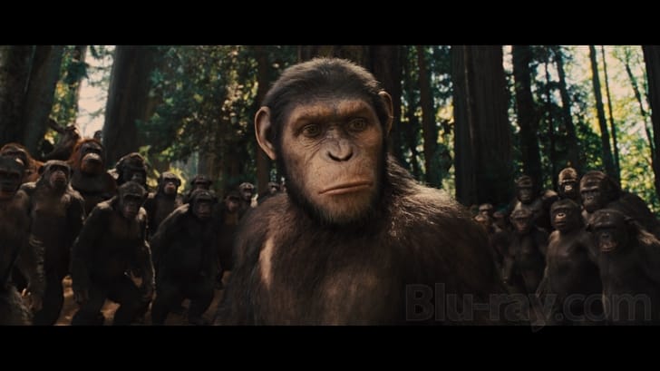 Rise of the Planet of the Apes - Triple Play (Blu-ray + DVD + Digital Copy) [Region Free]