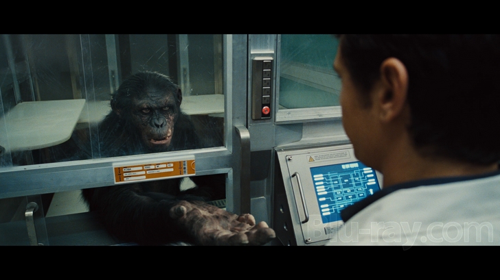 восстание обезьян с субтитрами. гоба планета обезьян. восстание обезьян с субтитрами. восстание обезьян с субтитрами. восстание обезьян с субтитрами.