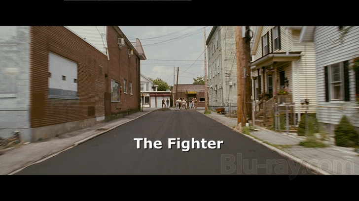 The Fighter 