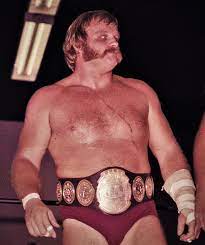 Ole Anderson