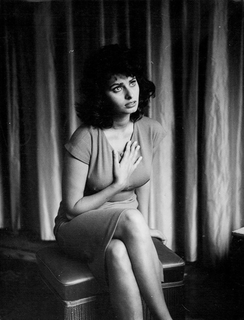 Sophia Loren Sophia Loren