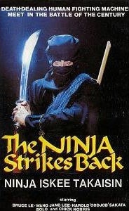 The Ninja Strikes Back (Bruce Le strikes back)