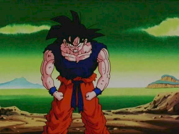 Son Goku / Kakarot