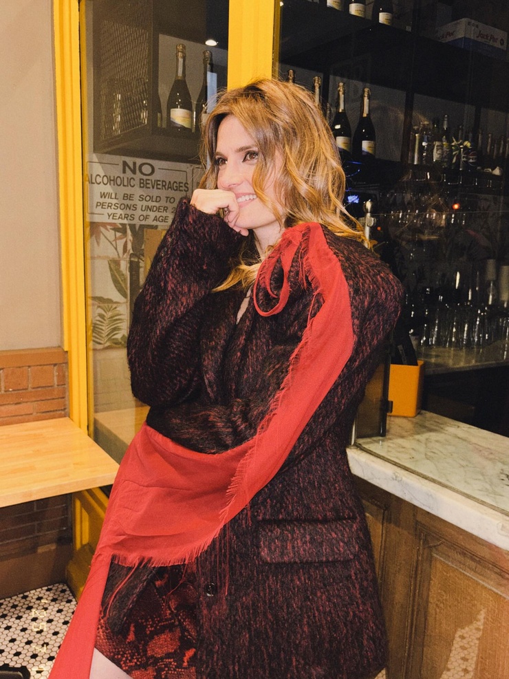 Stana Katic