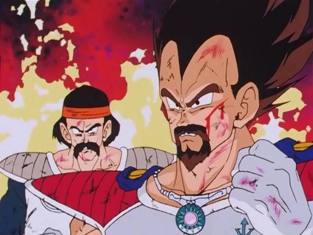 King Vegeta