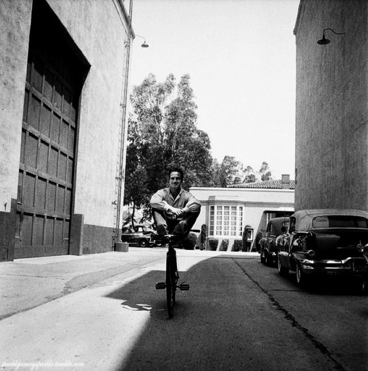 Paul Newman
