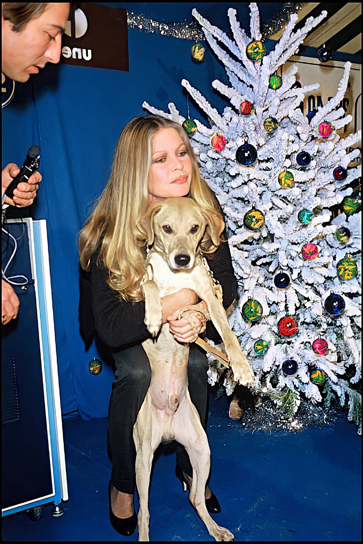 Brigitte Bardot Brigitte Bardot