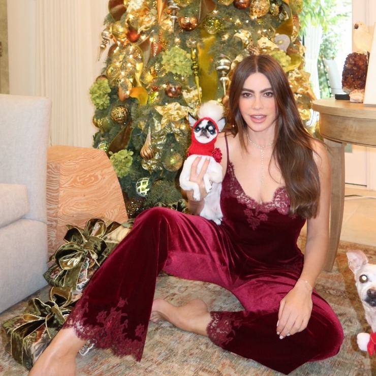 Sofía Vergara