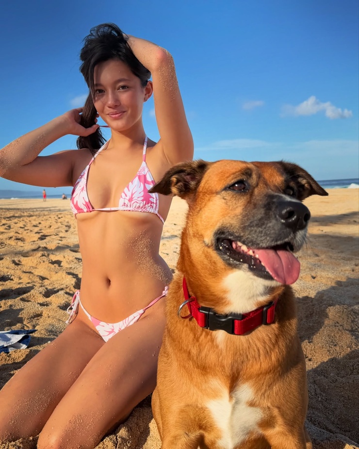 Lily Chee Lily Chee
