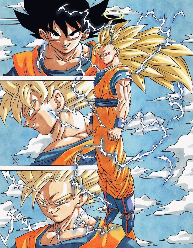 Son Goku / Kakarot