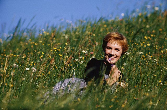 The Sound of Music The Sound of Music