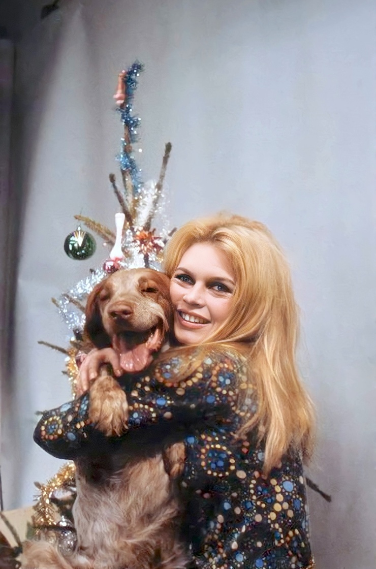 Brigitte Bardot Brigitte Bardot
