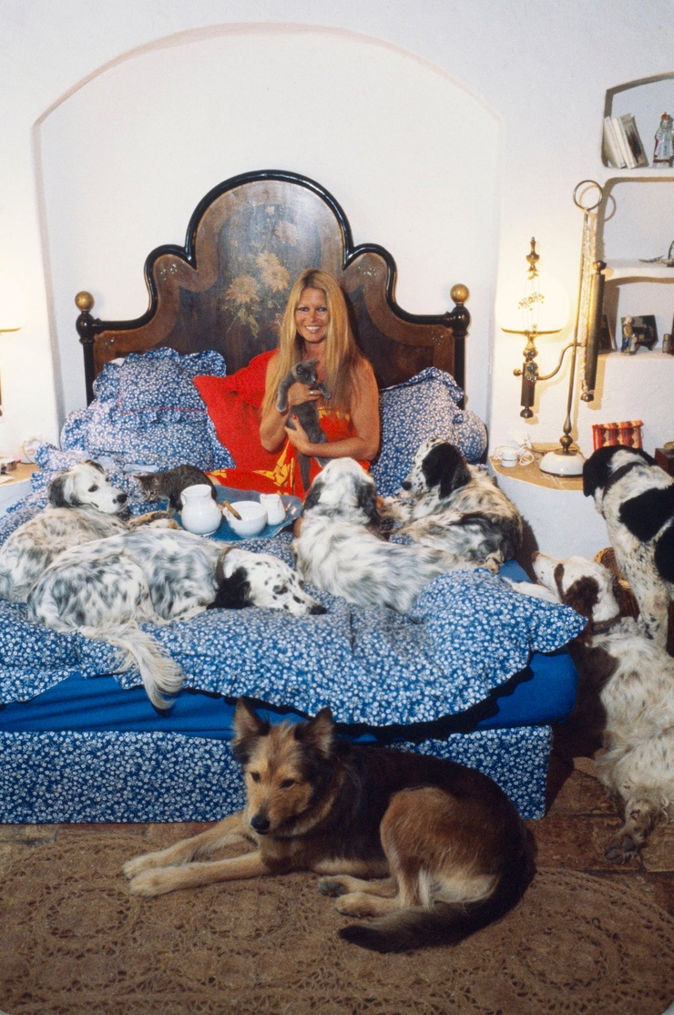 Brigitte Bardot Brigitte Bardot