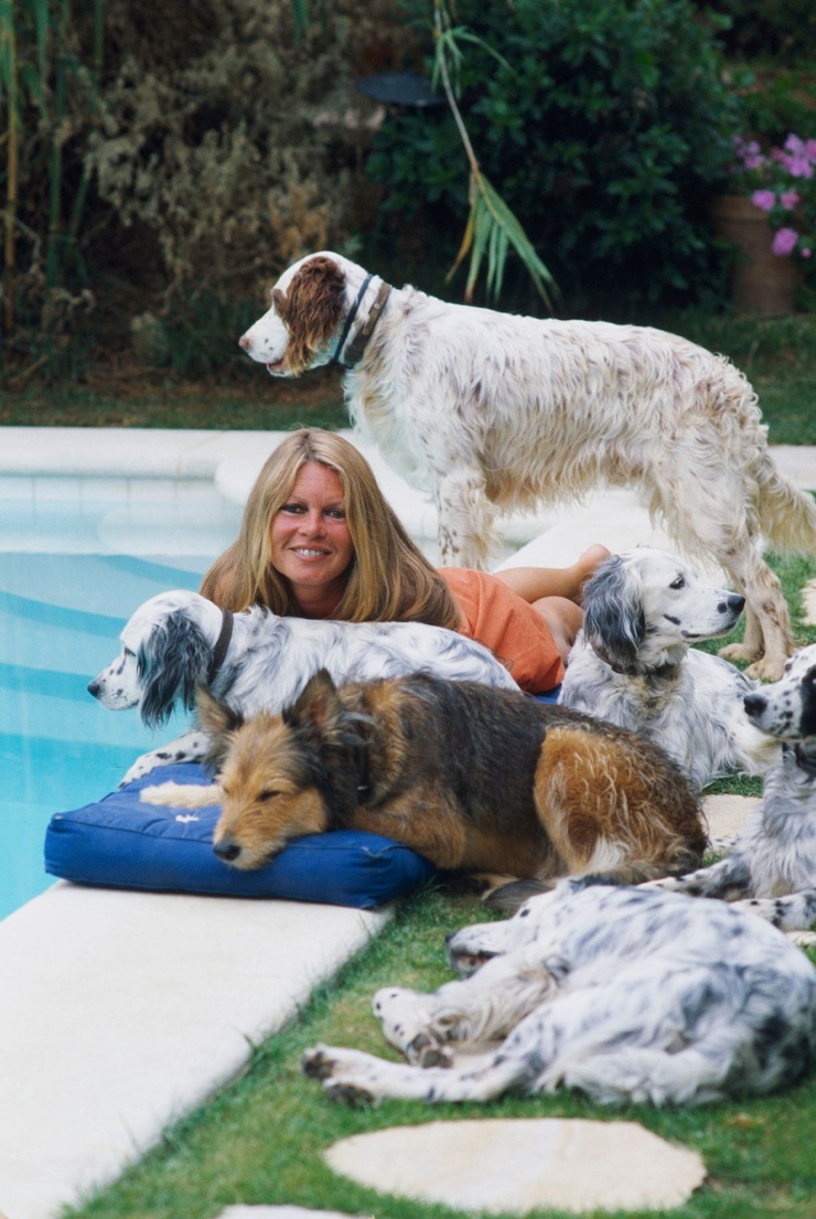 Brigitte Bardot Brigitte Bardot