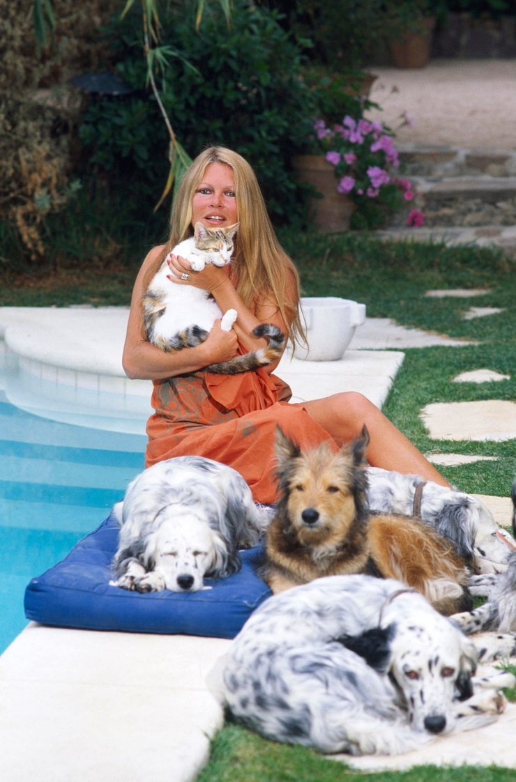 Brigitte Bardot Brigitte Bardot