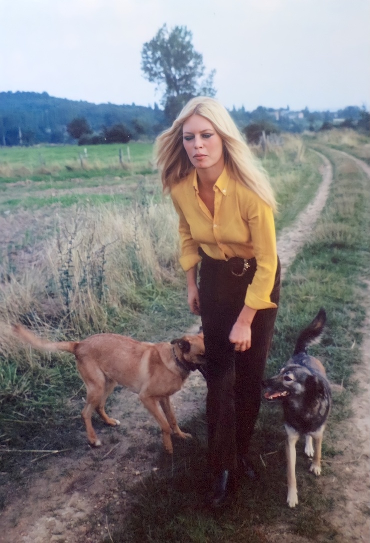 Brigitte Bardot Brigitte Bardot