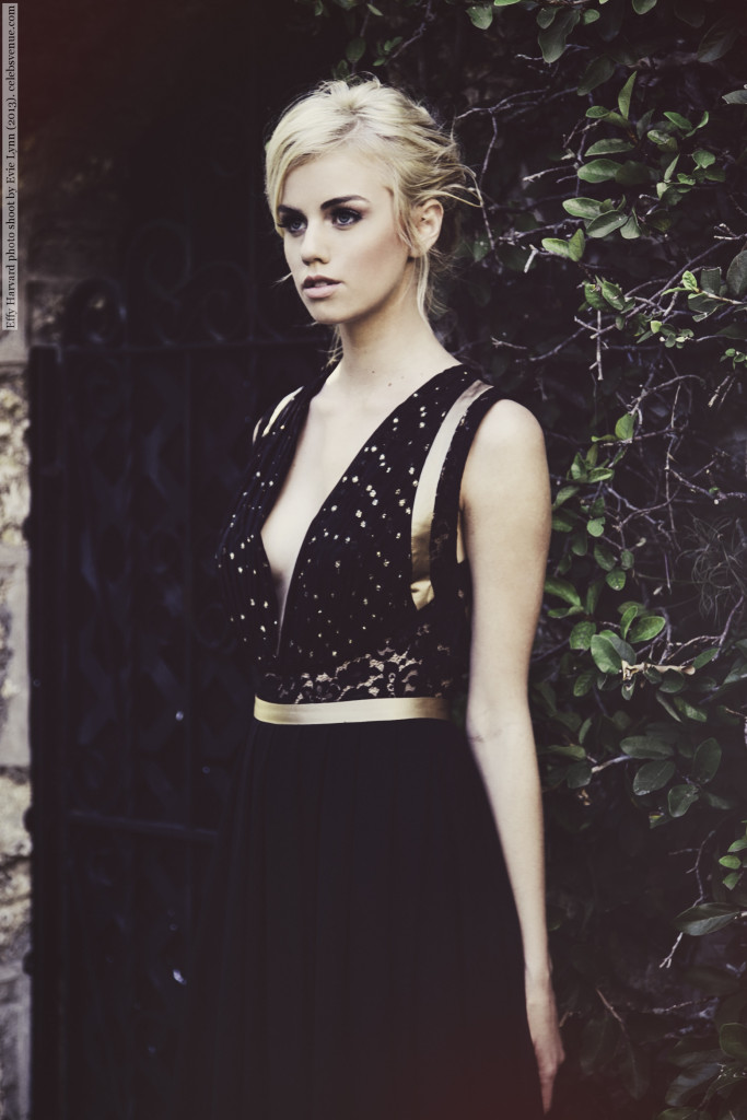 Effy Harvard