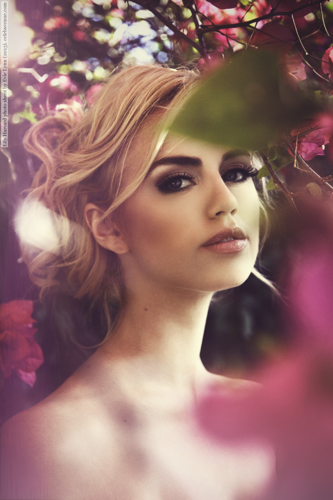 Effy Harvard