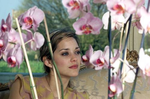 Marion Cotillard Marion Cotillard
