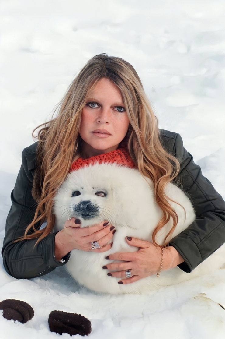 Brigitte Bardot Brigitte Bardot