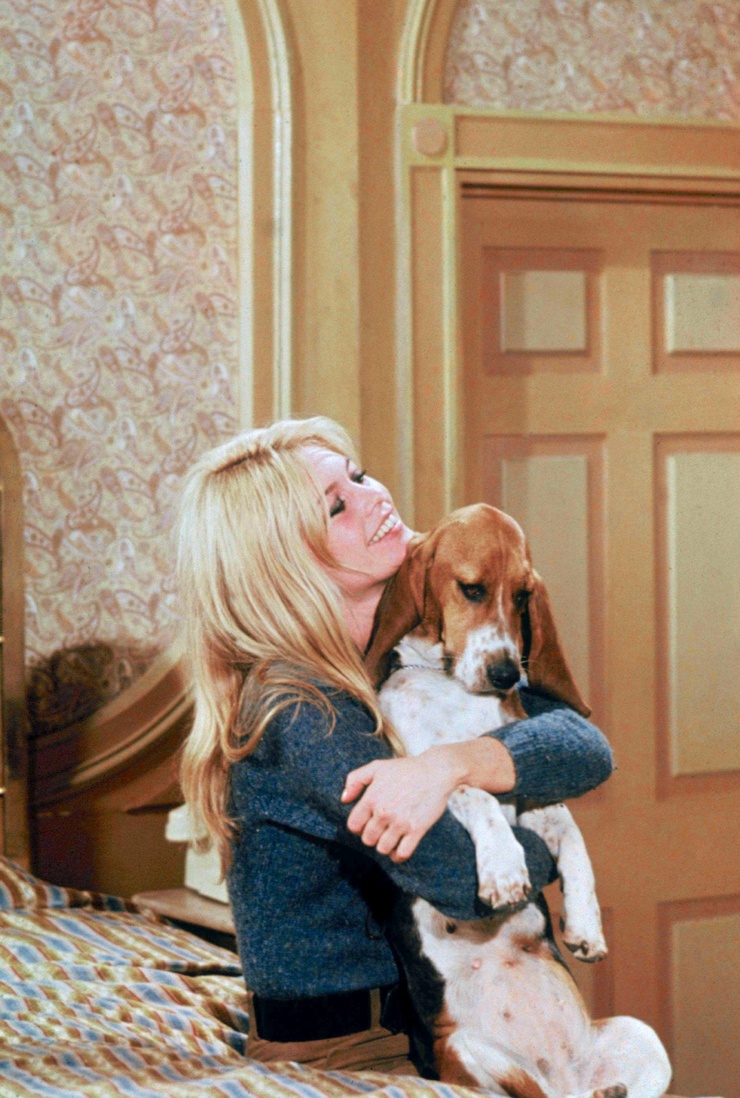 Two Weeks in September