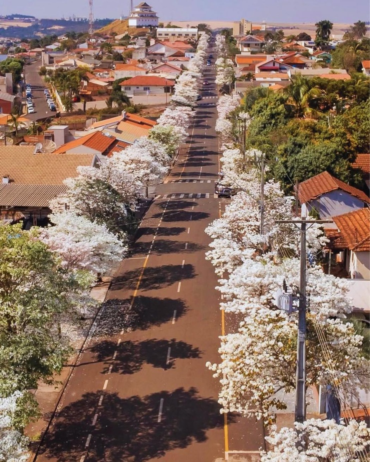 Assaí