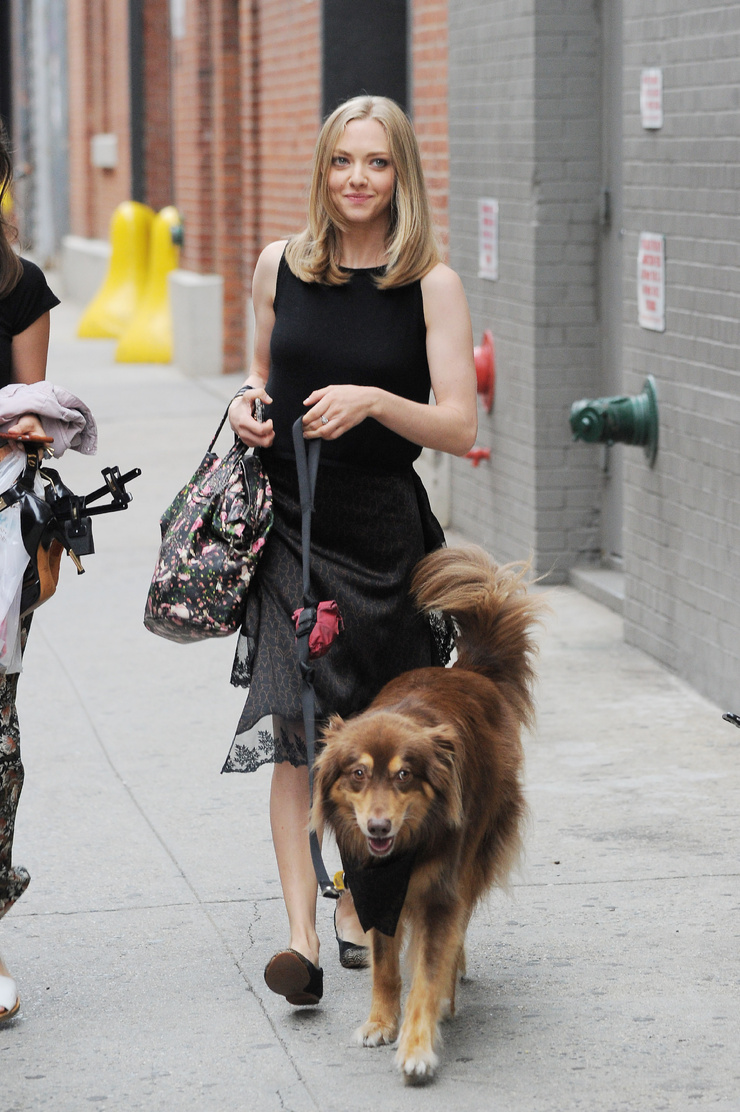 Amanda Seyfried