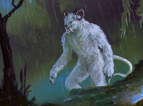 Sheepsquatch