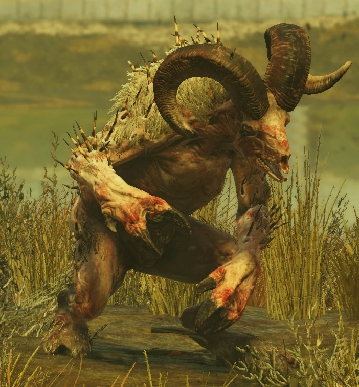 Sheepsquatch