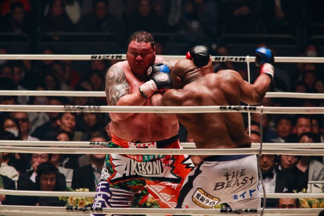 Bob Sapp