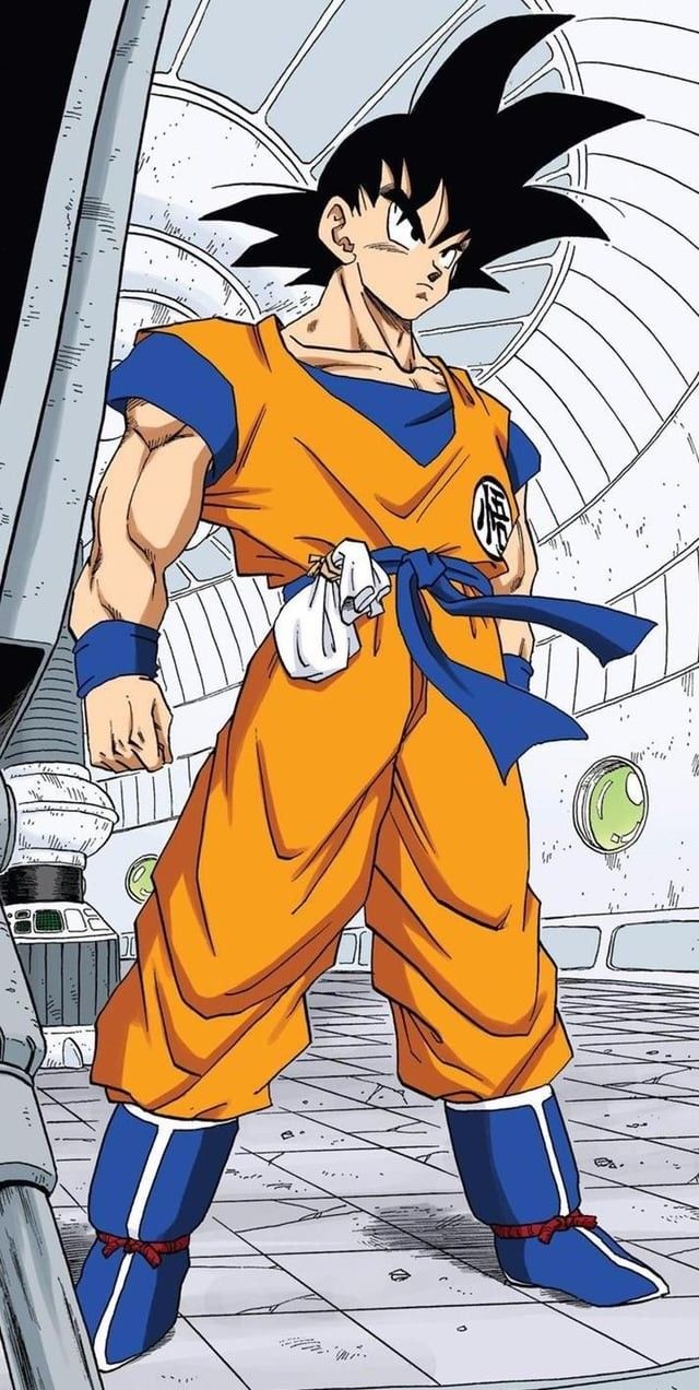 Son Goku / Kakarot