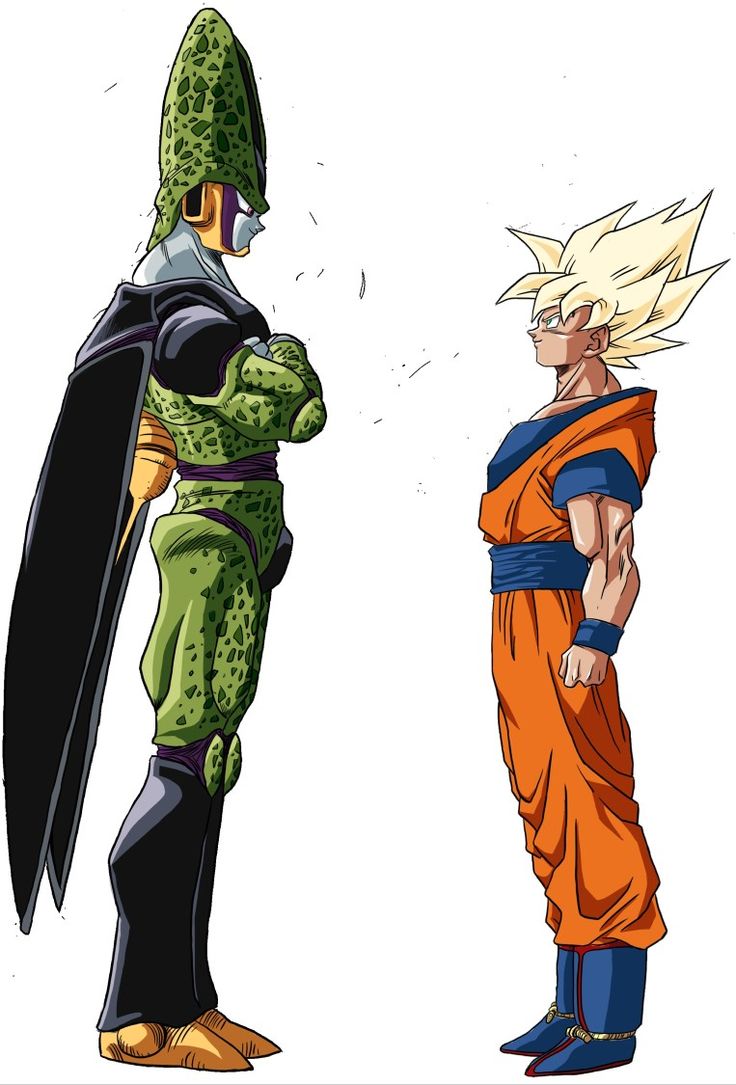 Son Goku / Kakarot