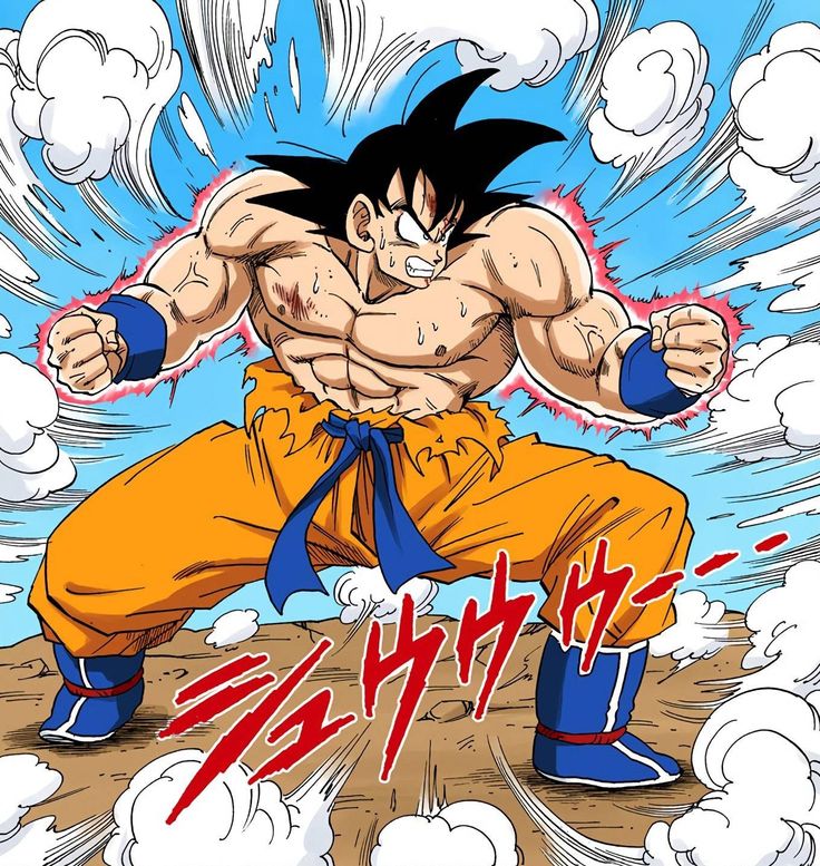 Son Goku / Kakarot