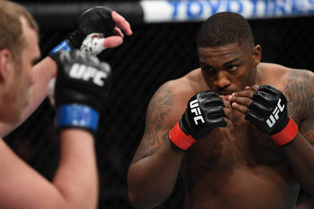 Walt Harris