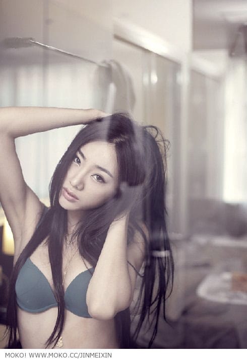 Jin Mei Xin