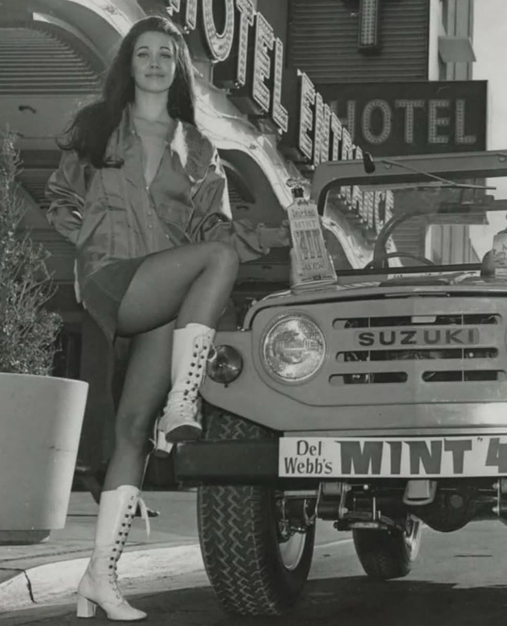 Lynda Carter Lynda Carter
