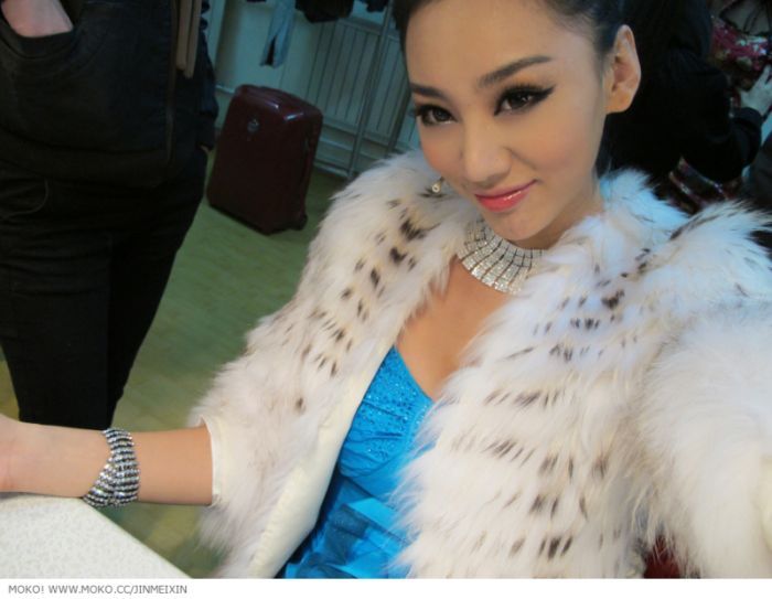 Jin Mei Xin