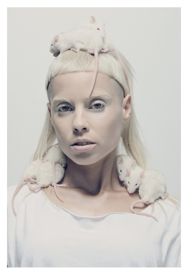 Die Antwoord
