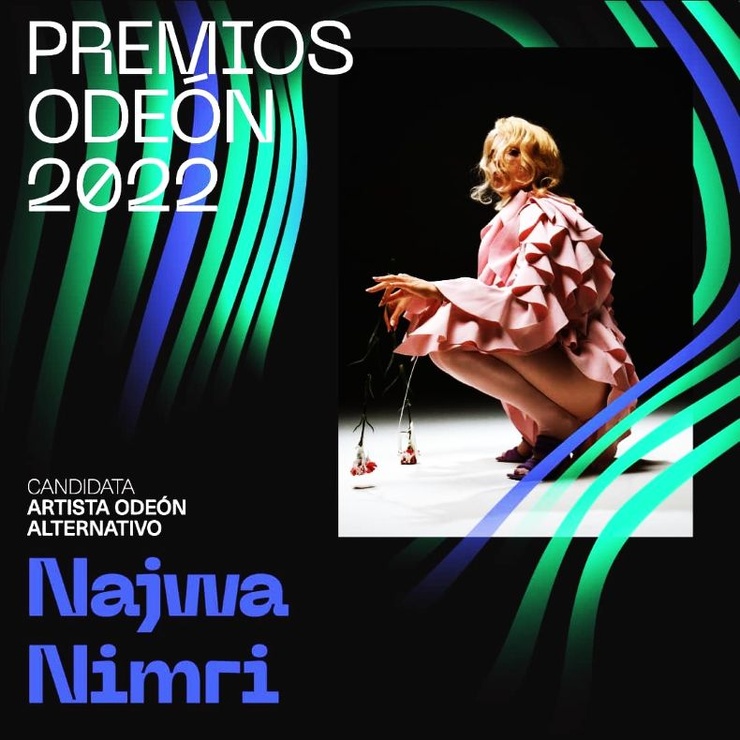 Najwa Nimri