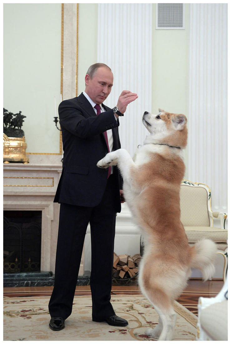 Vladimir Putin