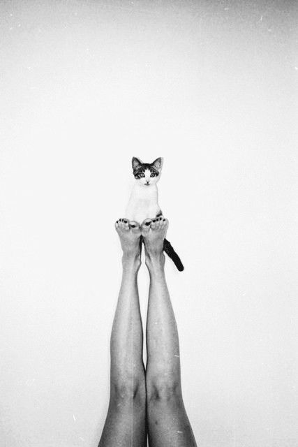 Jan Moriarty