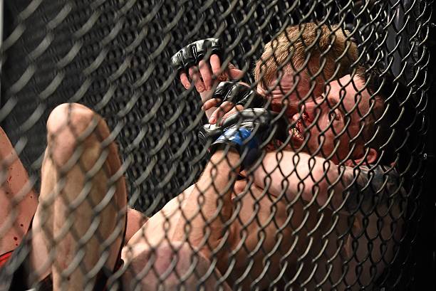 Paddy Holohan