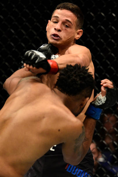 Tom Duquesnoy